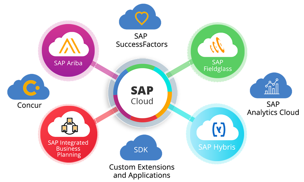sap-cloud-flip sap-cloud-flip